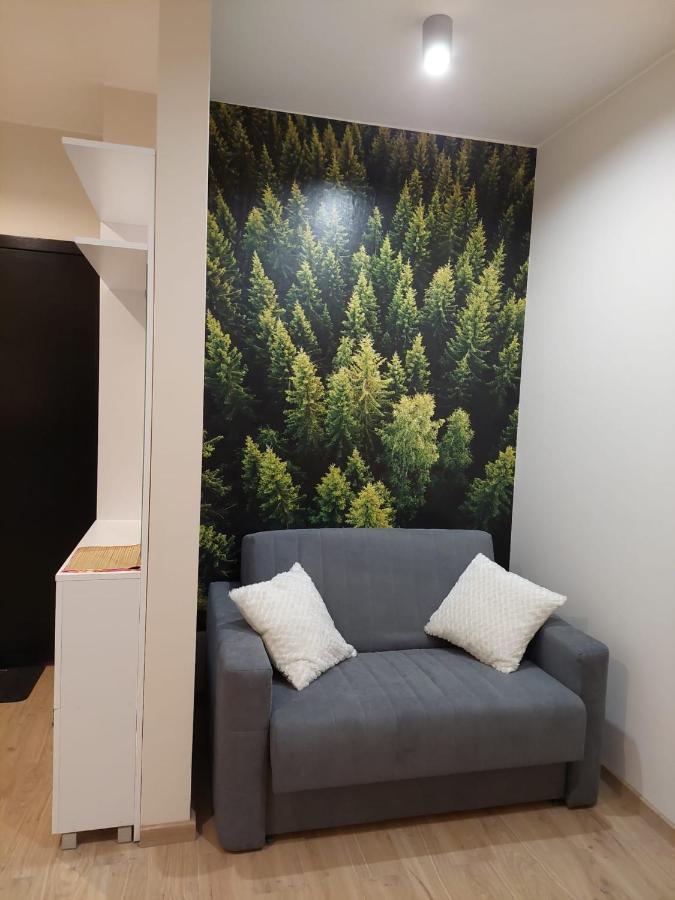 Apartament pod górą Szyndzielnia , Dębowiec Bielsko-Biała Exterior foto