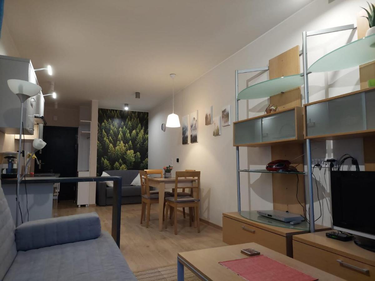 Apartament pod górą Szyndzielnia , Dębowiec Bielsko-Biała Exterior foto